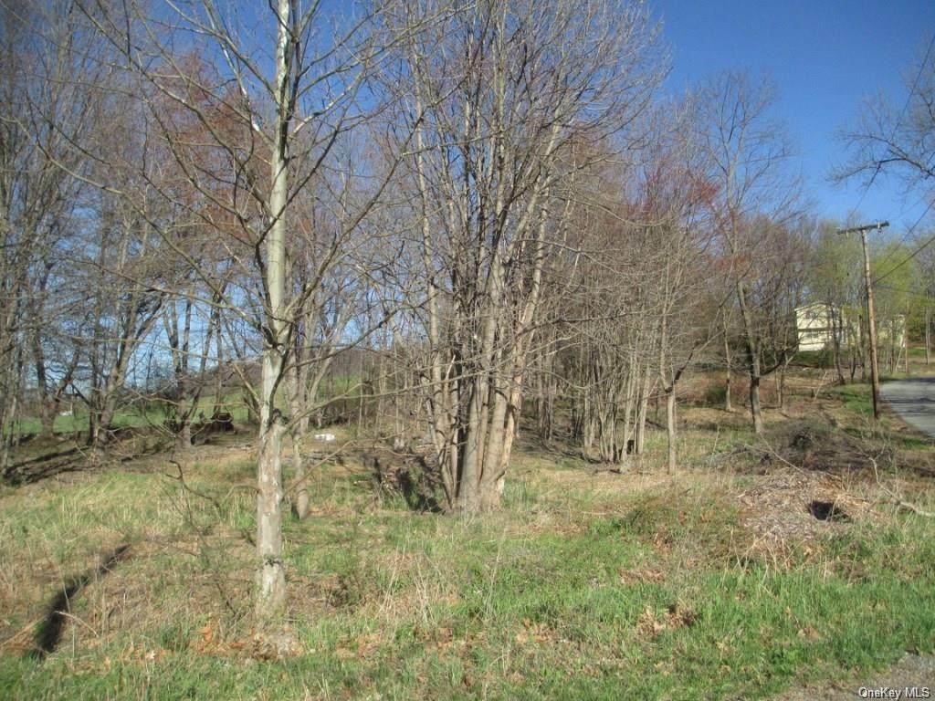 Perry Creek Road & Ivy - Photo 1