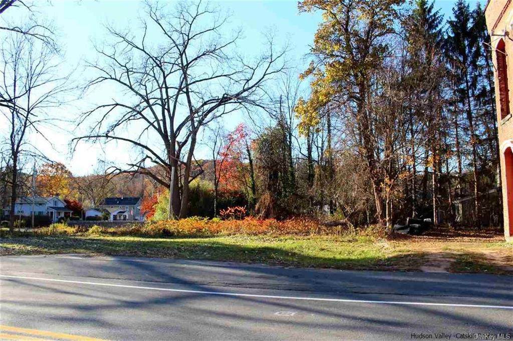 Lot 11 Main Street - Photo 1