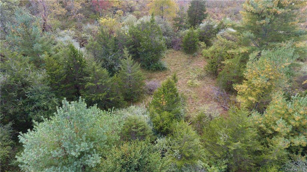4025 State Route 209 - Photo 1