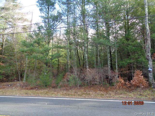 Anawana Lake Road - Photo 1