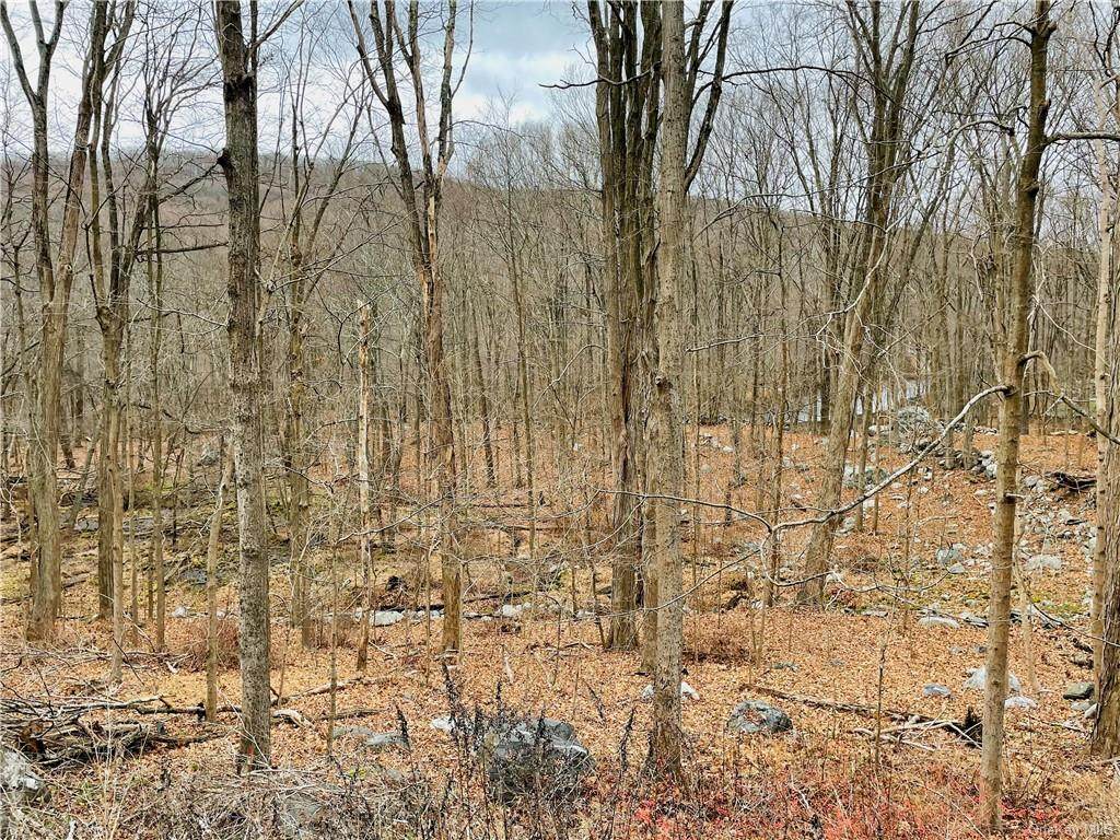 Lot 44 Oscawana Lake Road - Photo 1
