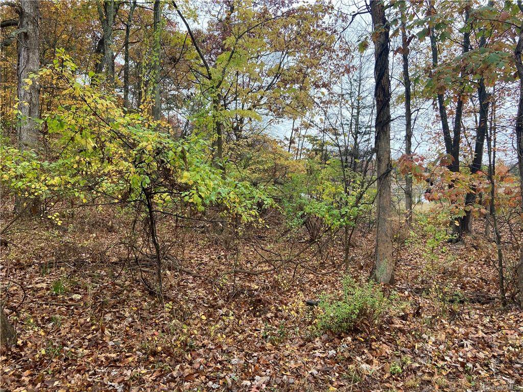 711 Hillside Road - Photo 1