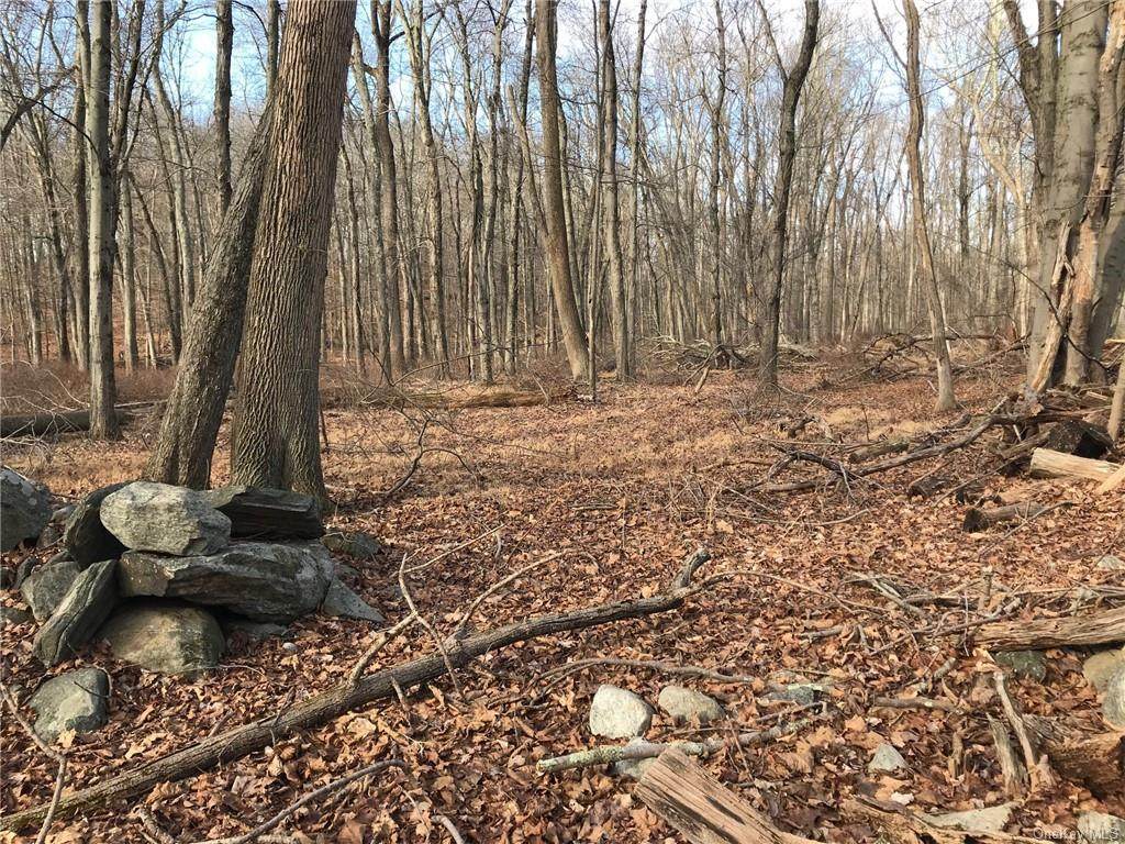 18 Cat Ridge Road - Photo 1