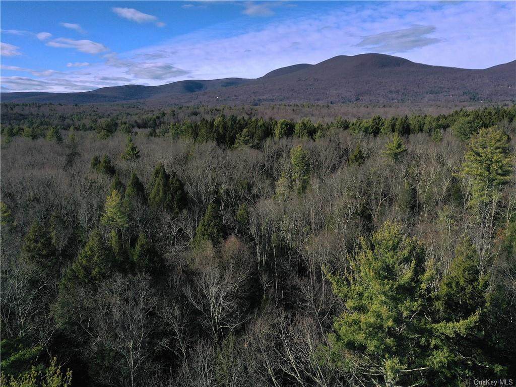 Brown Road - Photo 1