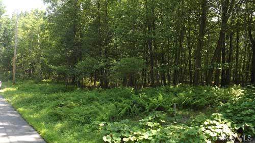 Lot 8 Ridge Drive - Photo 1