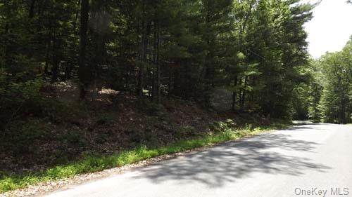 Lot 18.3 Geba Drive - Photo 1