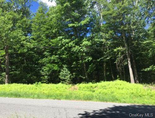 Lot 11.28 Hilltop Road - Photo 1