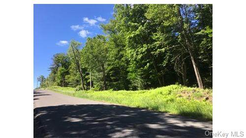 Lot 11.29 Hilltop Road - Photo 1