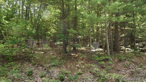 275 Wilson Road - Photo 1
