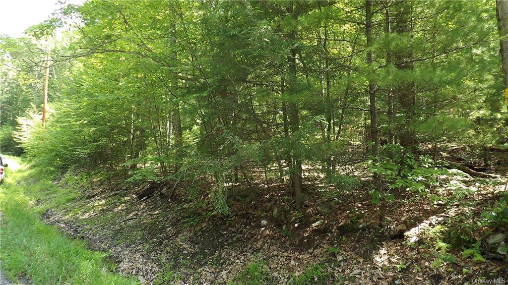 267 Wilson Road - Photo 1