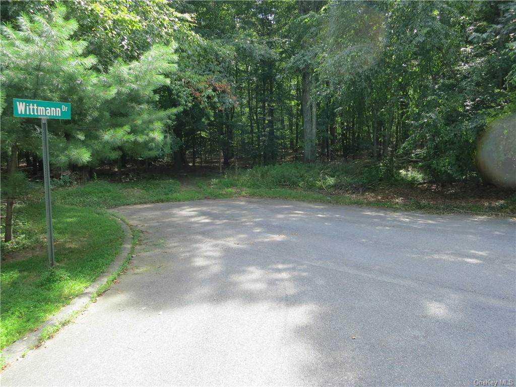 22 Dr Tonys Lot 7 Road - Photo 1