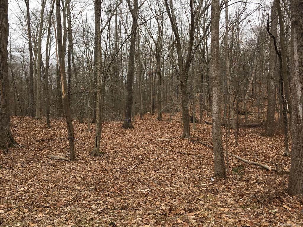 Brook Farm Road - Photo 1