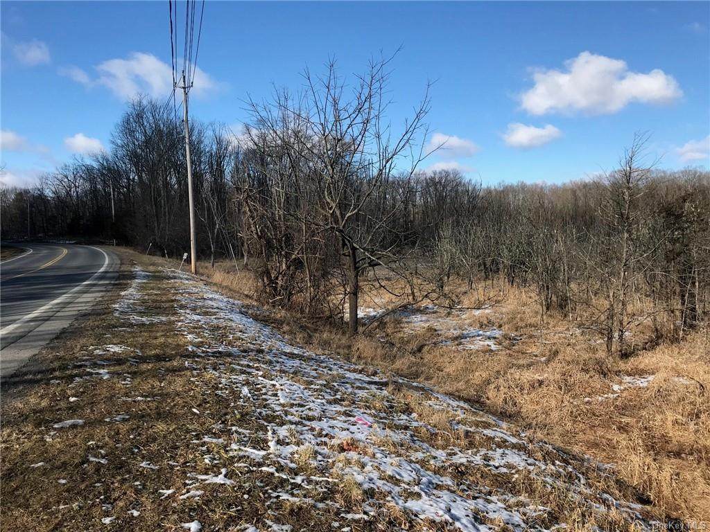 324 Pine Island Turnpike - Photo 1