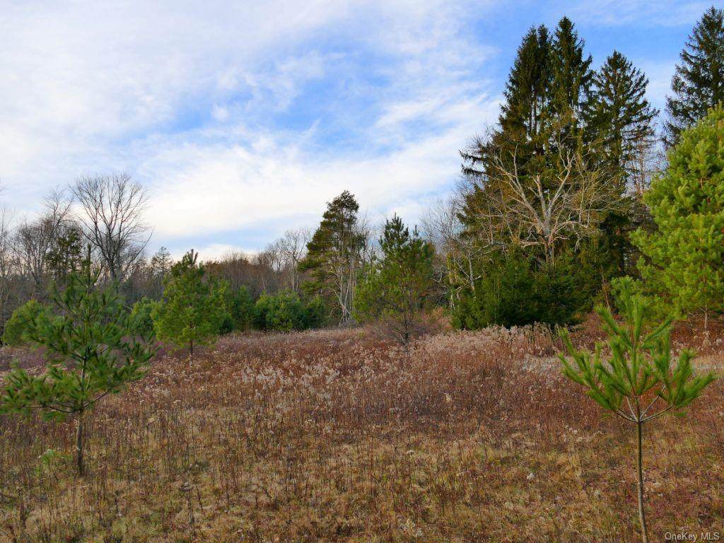 Ferndale-Loomis Road - Photo 1