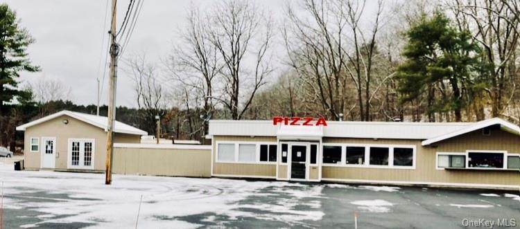 1007 Us Route 209 - Photo 1