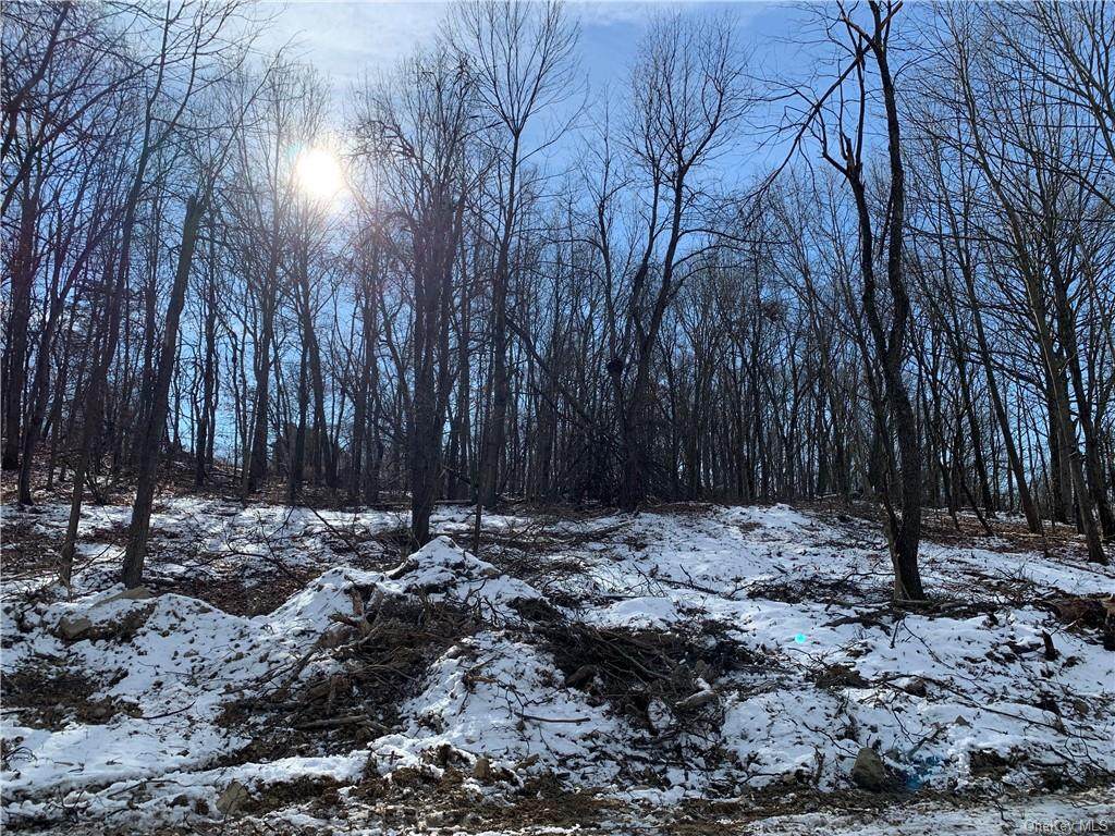 979 State Route 32 - Photo 1