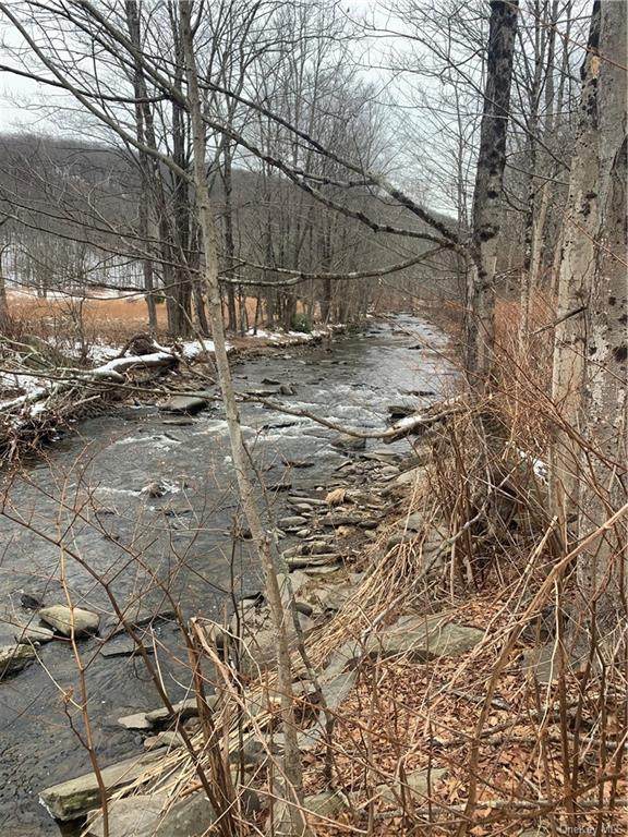Mountaindale Road - Photo 1