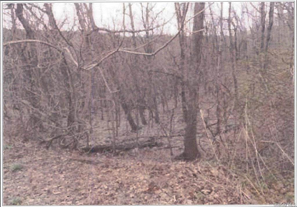 67-71 Carolyn Drive - Photo 1