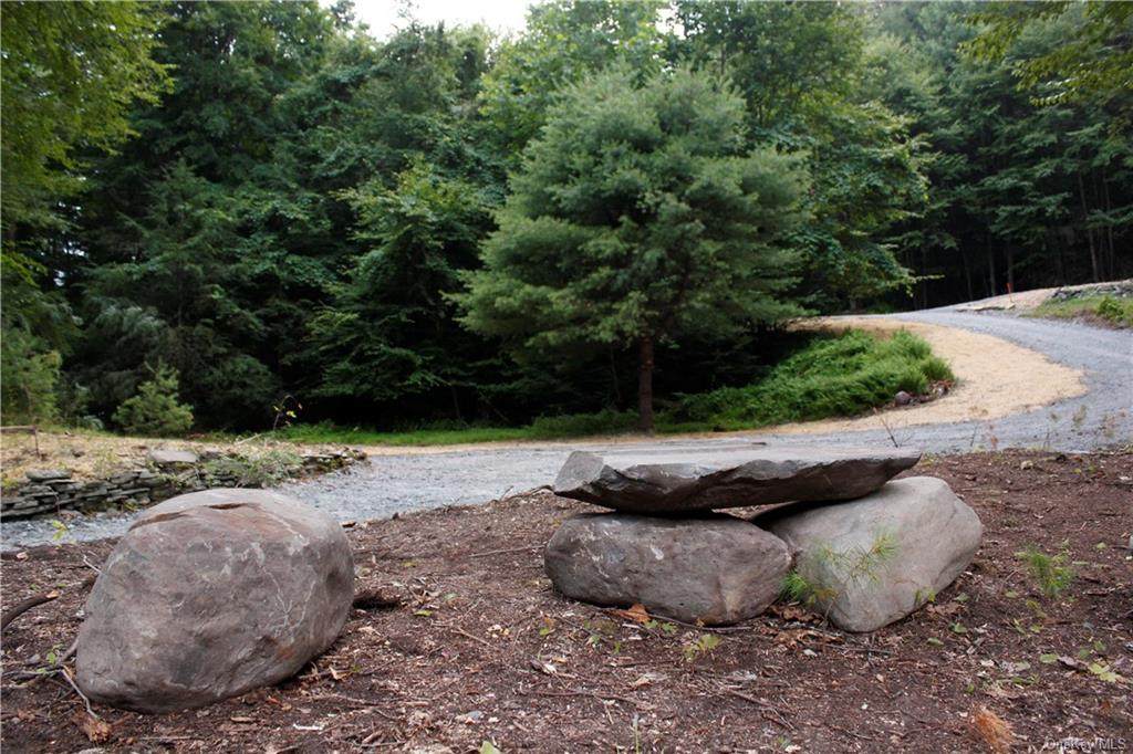 369 Pine Kill Road - Photo 1