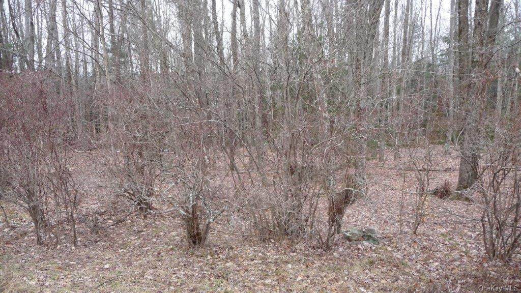 Square Woods Road - Photo 1
