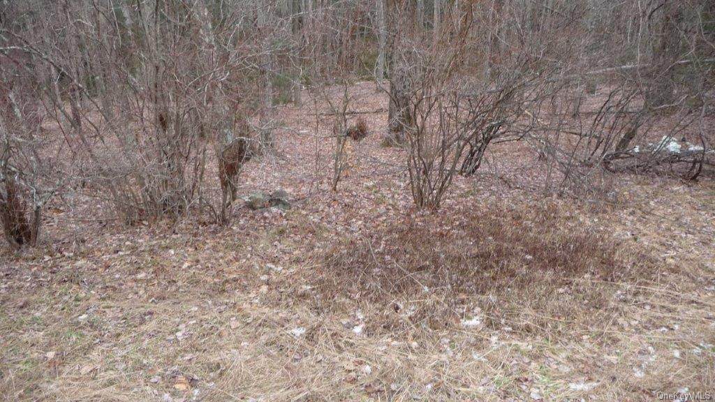 Square Woods Road - Photo 1