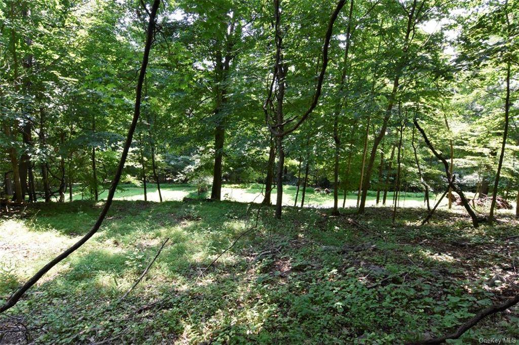 Cyrus Field Road - Photo 1