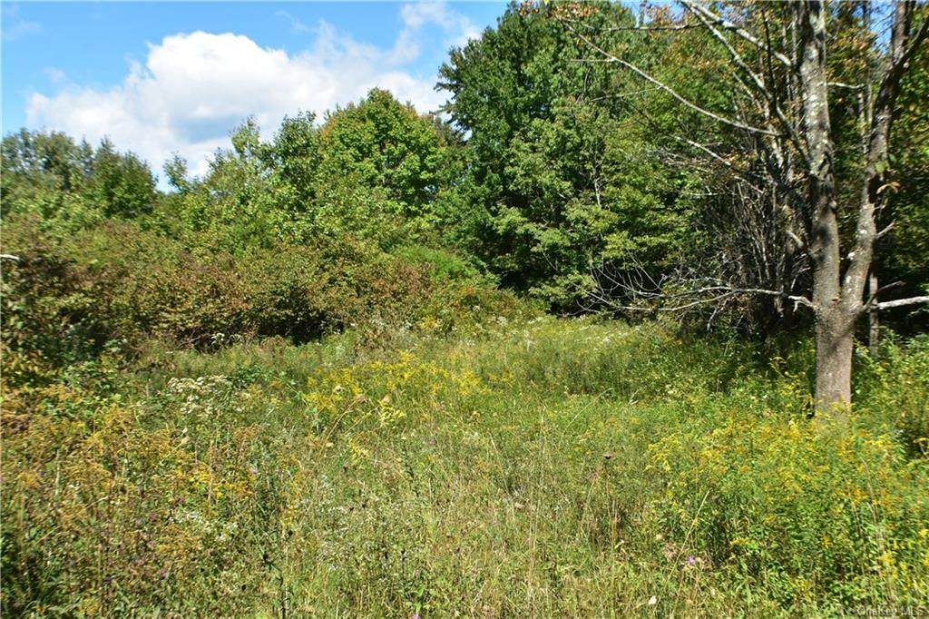 TBD Briggs Highway - Photo 1