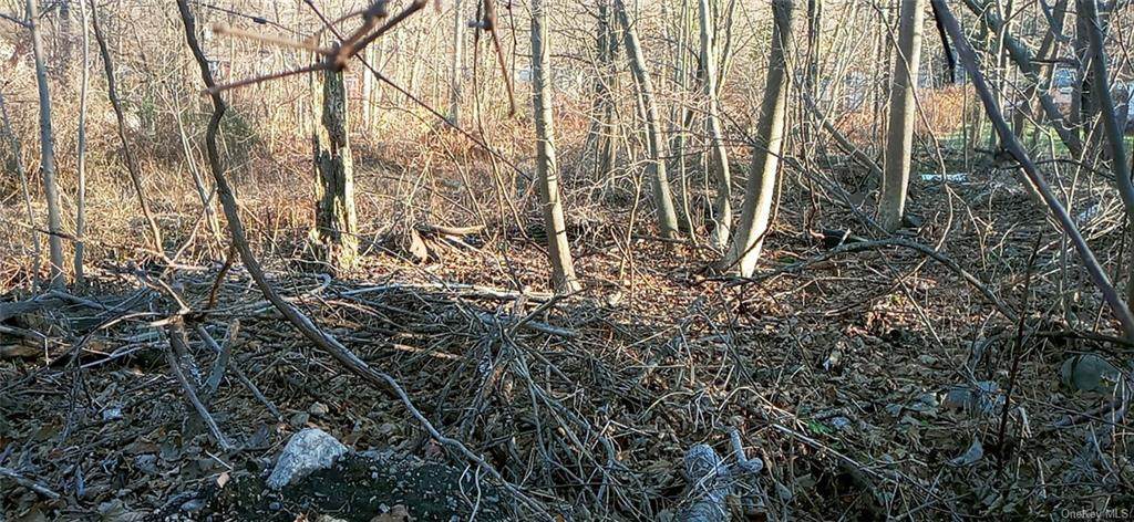 Paradise Trail - Photo 1