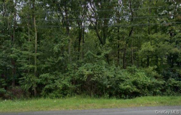 731 Wurtsboro Mtn Road - Photo 1