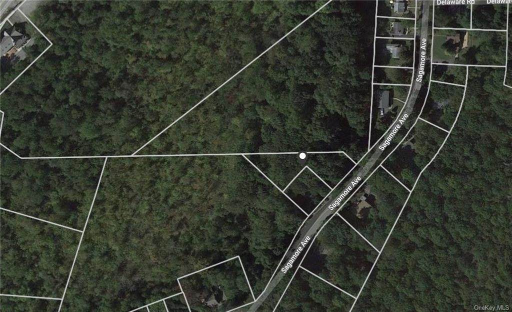 Sagamore Avenue - Photo 1