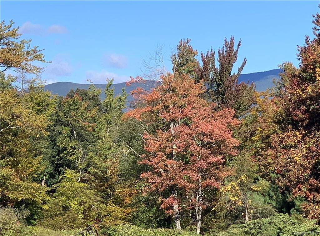 160 Hill Road - Photo 1