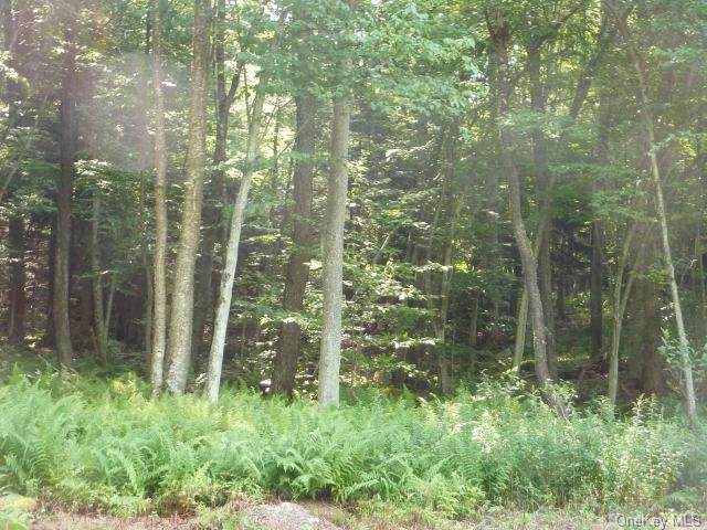 Park Lane - Photo 1