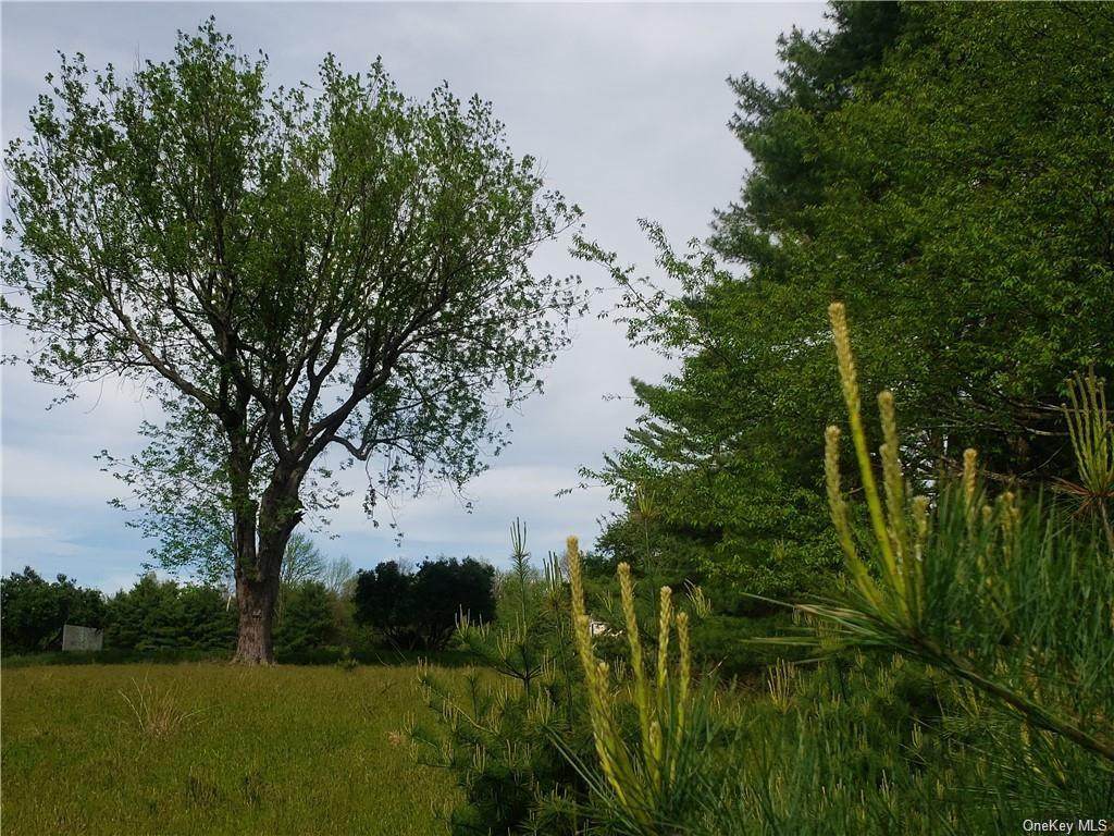 Mud Pond Road - Photo 1