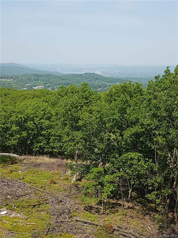 86-88 Overlook Road - Photo 1