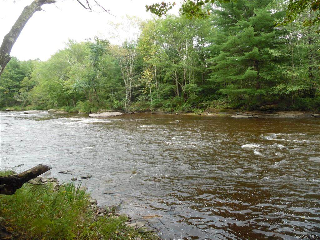 Plank Road - Photo 1