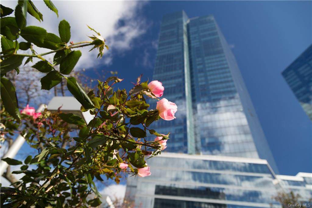 5 Renaissance Square - Photo 1