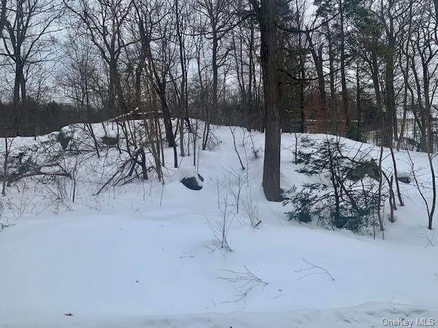 34 Shepard Road - Photo 1