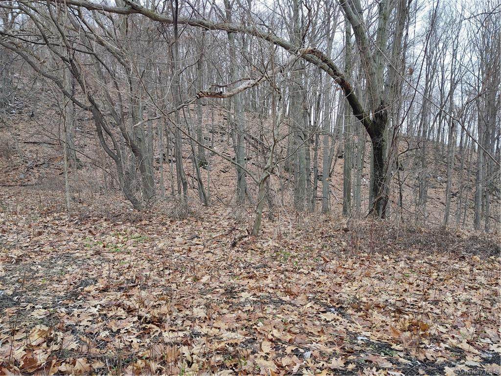 Old State Road - Photo 1