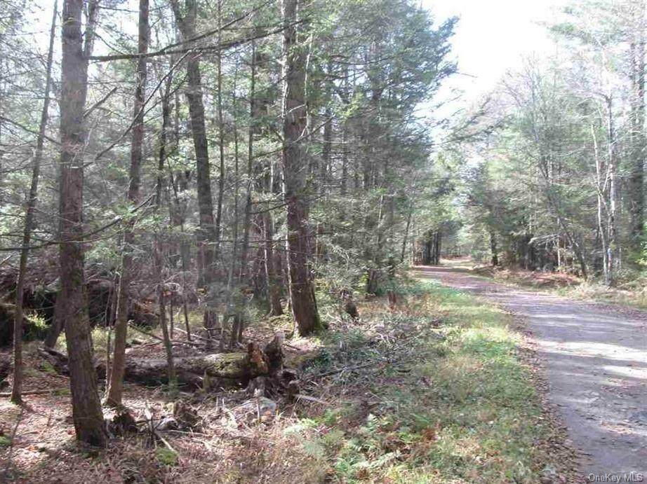 Diamond Road - Photo 1