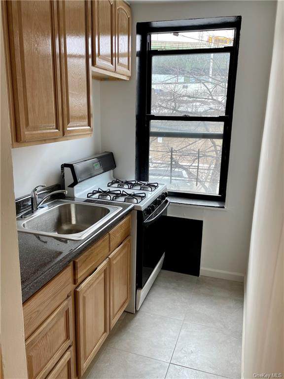 534 Morris Park Avenue - Photo 1