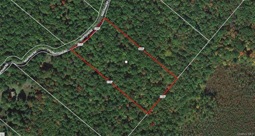 Mud Pond Road - Photo 1