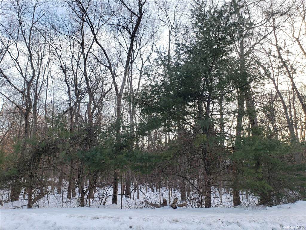 24 Deer Run Road - Photo 1