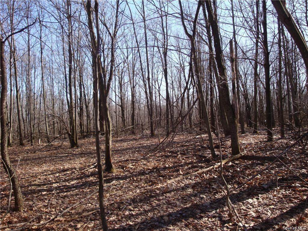 . Skyline Drive - Photo 1