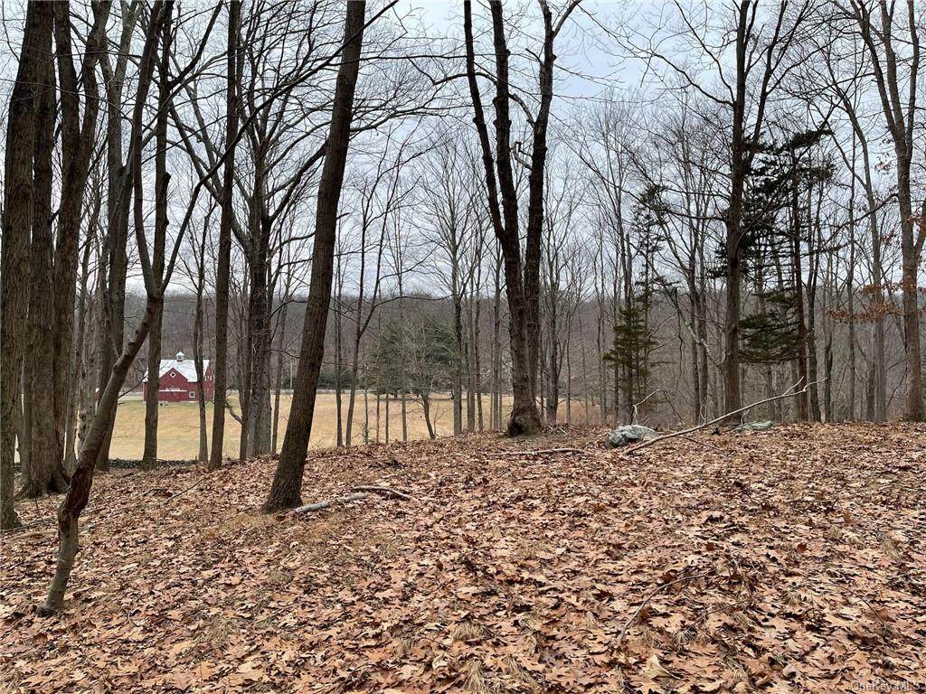 49 Black Brook Road - Photo 1