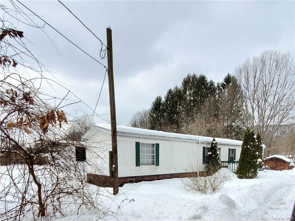 115 Route 209 - Photo 1