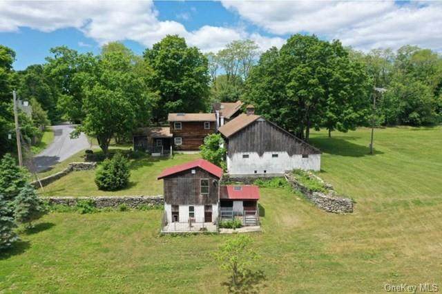 291 Fallkill Road - Photo 1