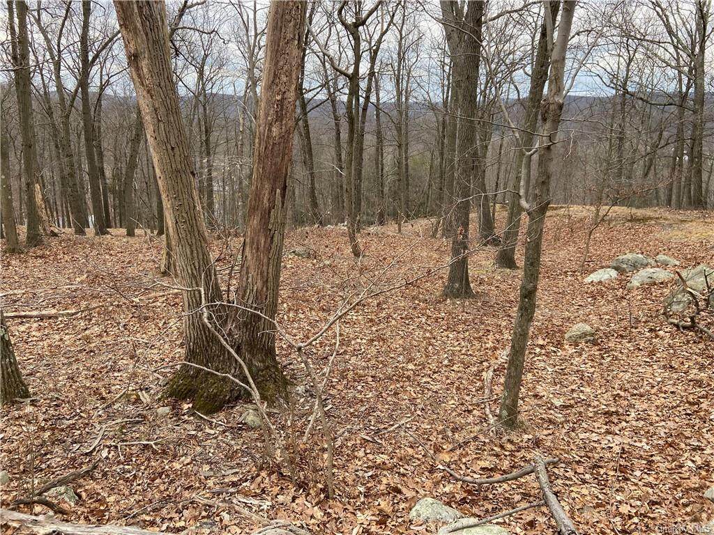 27 Dogwood Road - Photo 1