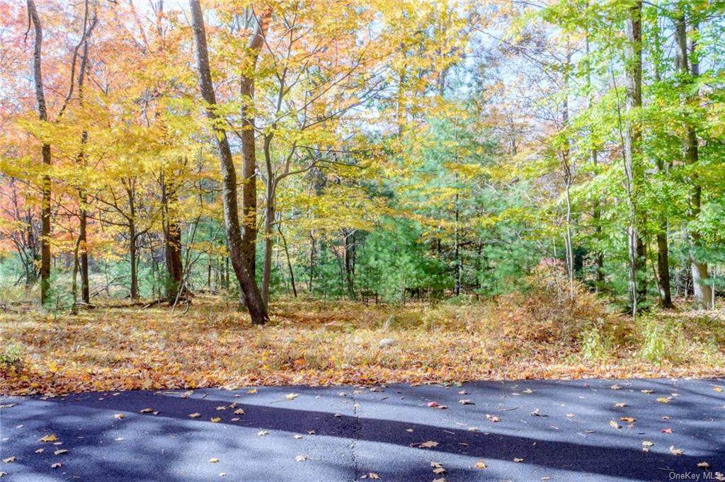 Otis Road - Photo 1