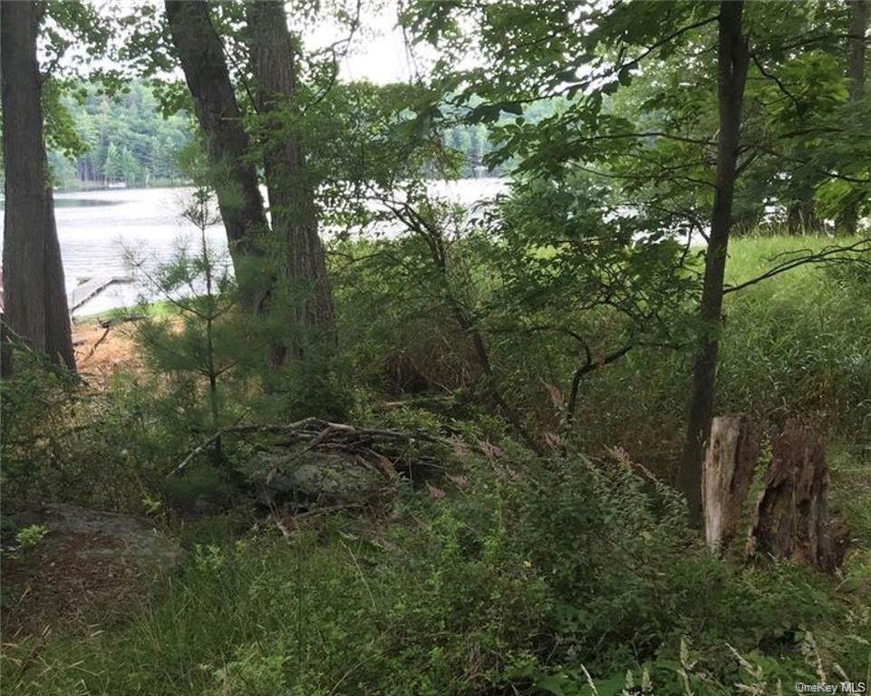 125 (11.-1-73.5)Lot#4 Airport Road - Photo 1