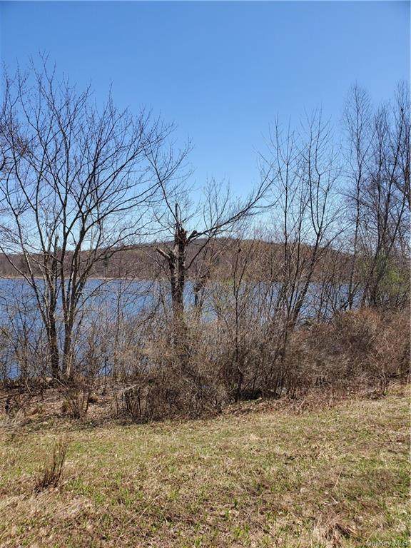 Shore Road - Photo 1